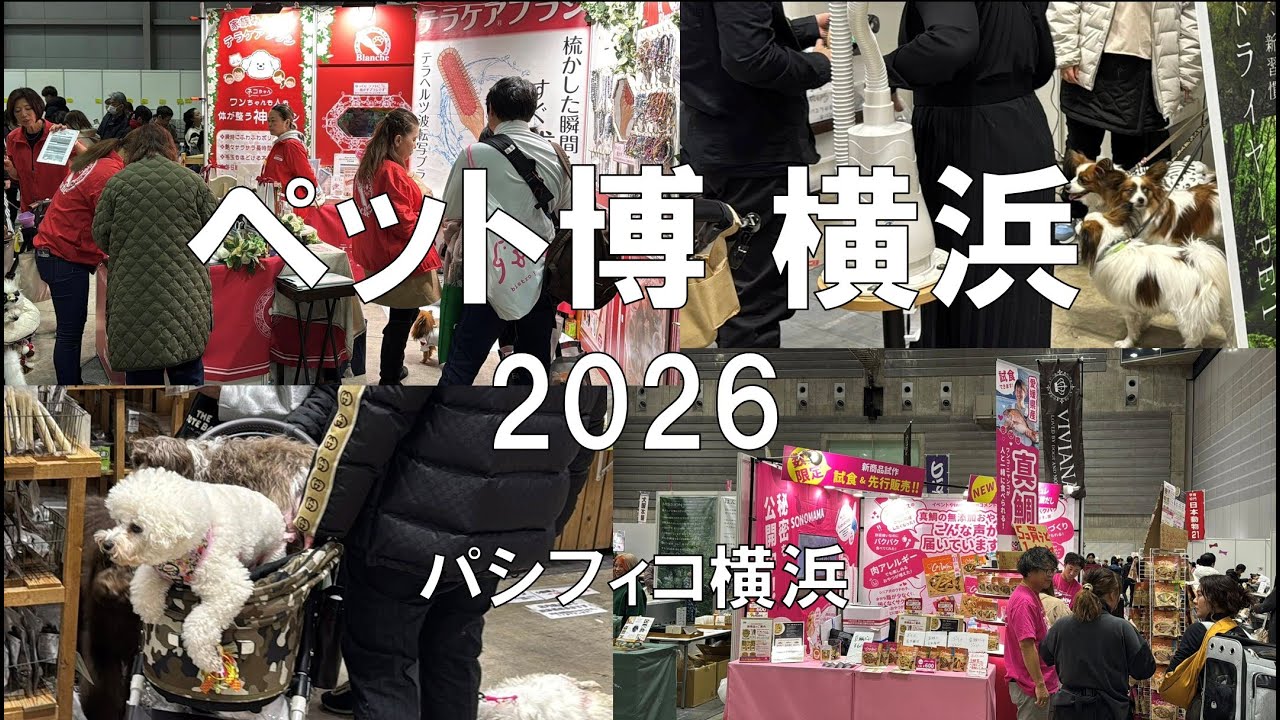愛犬と一緒に行ける展示会：ペット博横浜2026・パシフィコ横浜・展示会営業術