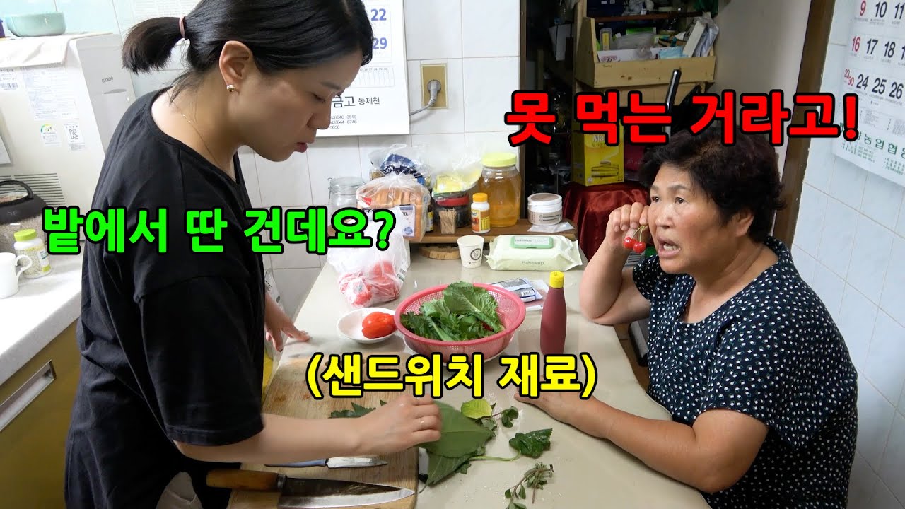 며느리가 시어머님한테 잡초를 넣어 샌드위치를 만들어 준다면?