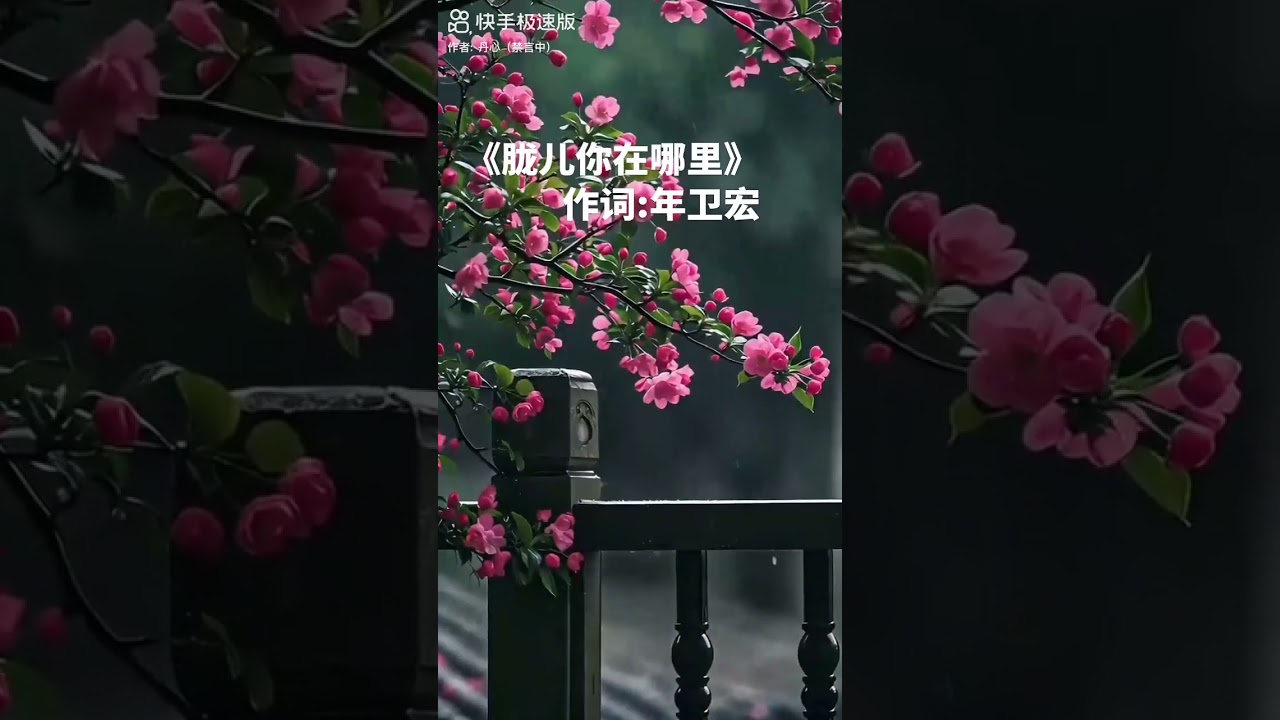 纪念于朦胧