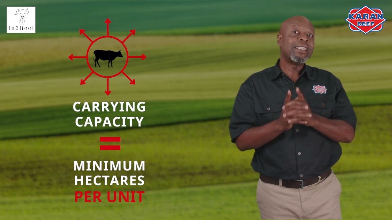 KARAN BEEF Academy  -  EP 2 GRAZING - ENG