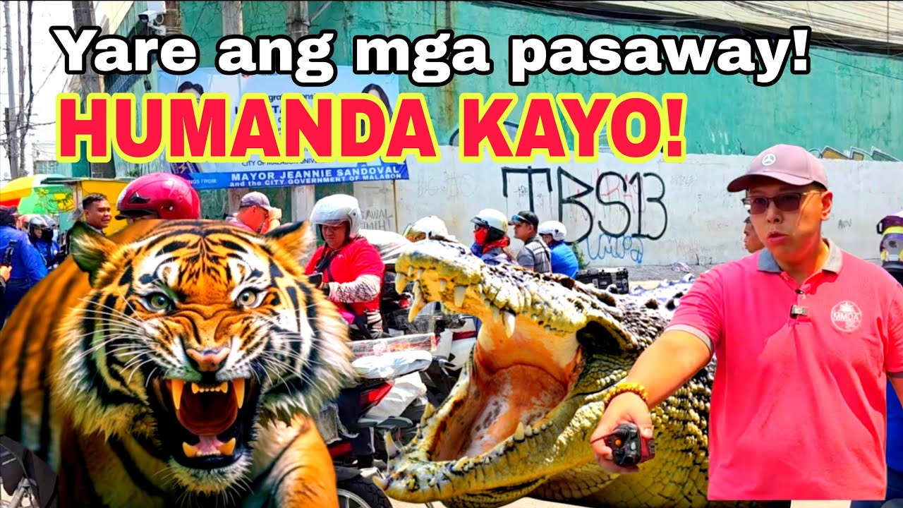NAKUPO! Tigre at Buwaya, isasama na sa clearing operation!🤣😅