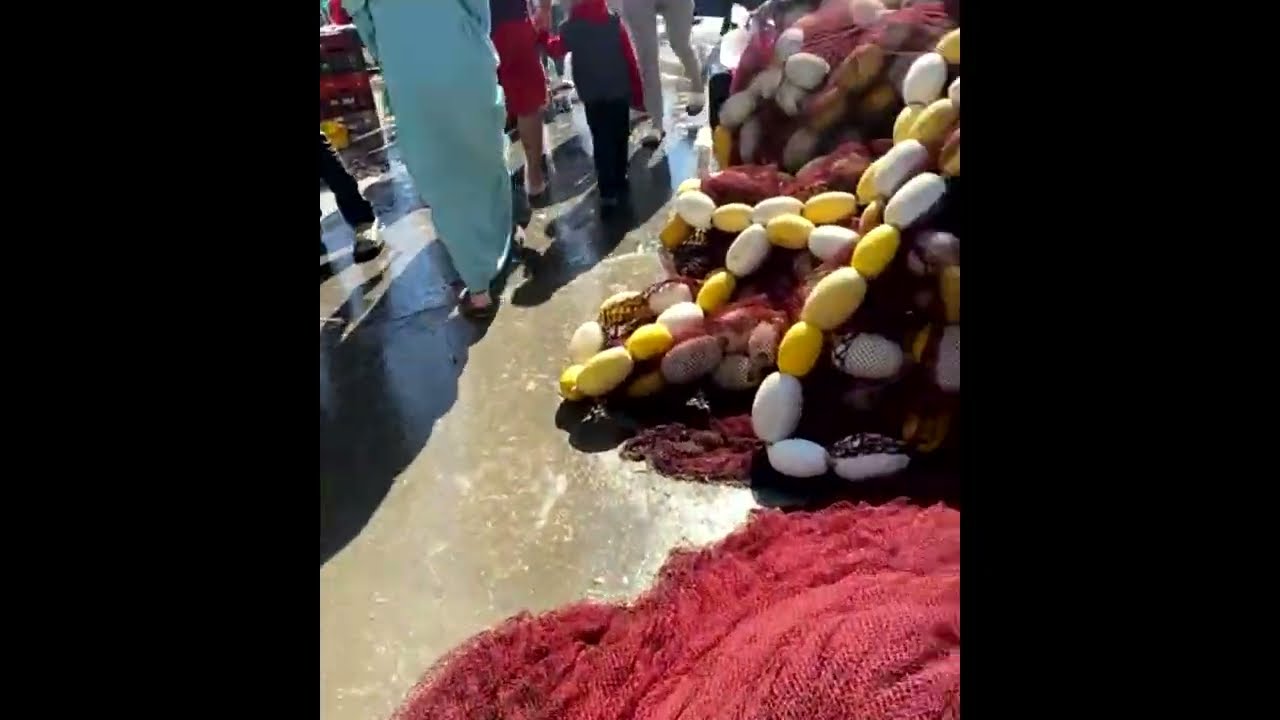 جولة في ميناء المحمدية مع عرض  اسعار الأسماك🐠🐟🦐🦀￼