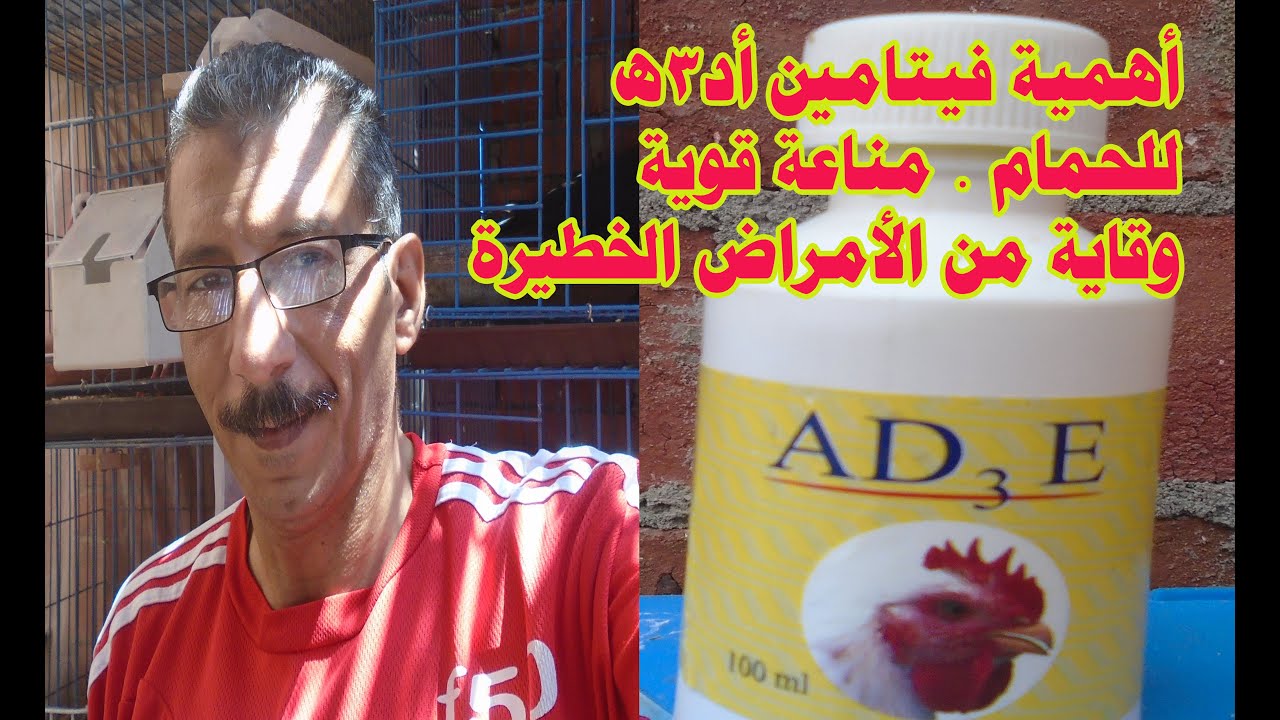أهمية فيتامين أد3ه للحمام 