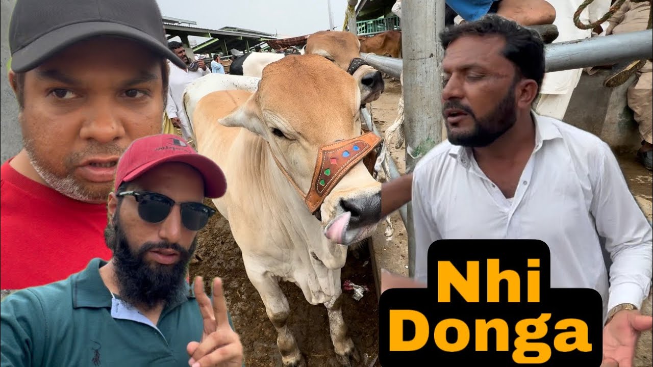 Hashim Sy Larae Hogae 😳 | Multan Mandi | AR Maani