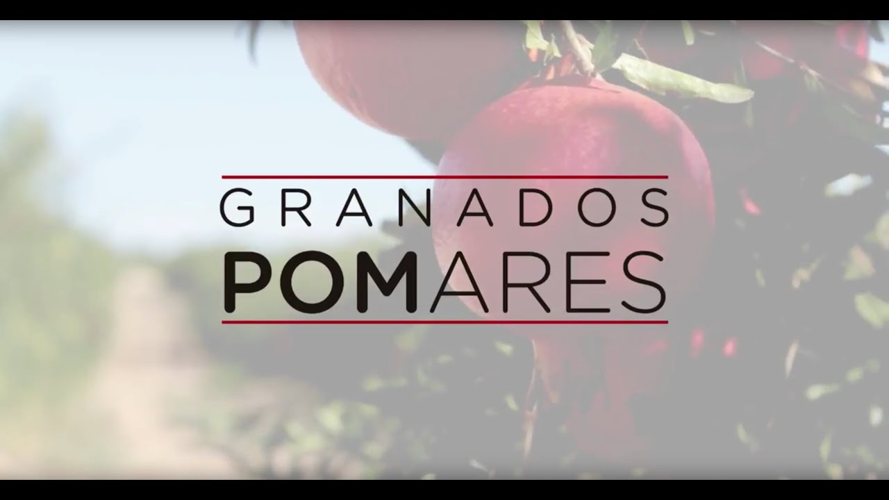 PRESENTACIÓN VARIEDADES ACCO Y WONDERFULL DE GRANADOS POMARES