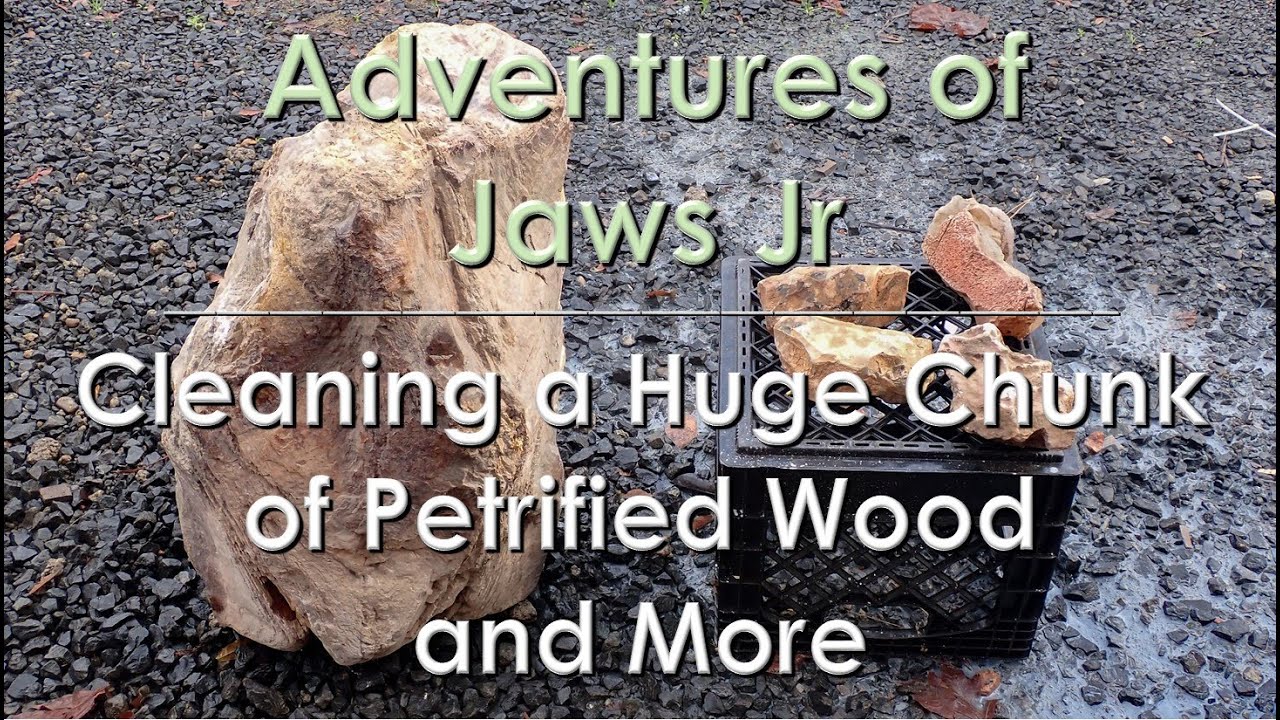 Cleaning a Huge Chunk of Petrified Wood and More #rocks #thefinders