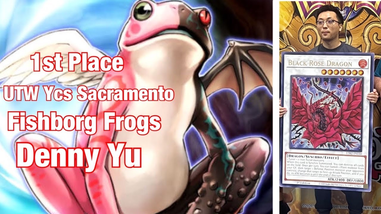 1st Place Fishborg Frogs UTW YCS Sacramento by Denny Yu