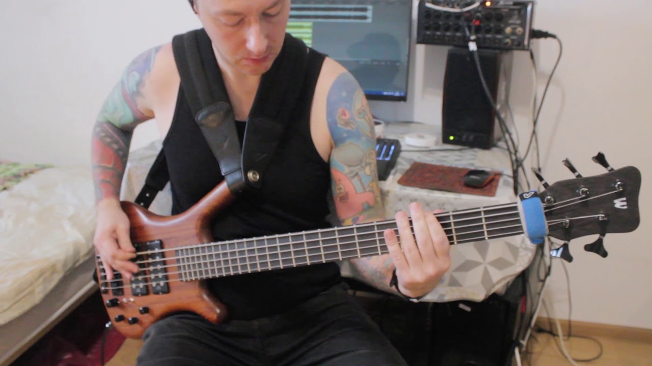 Wildways — The Notebook | Bass cover (Darkglass X7)