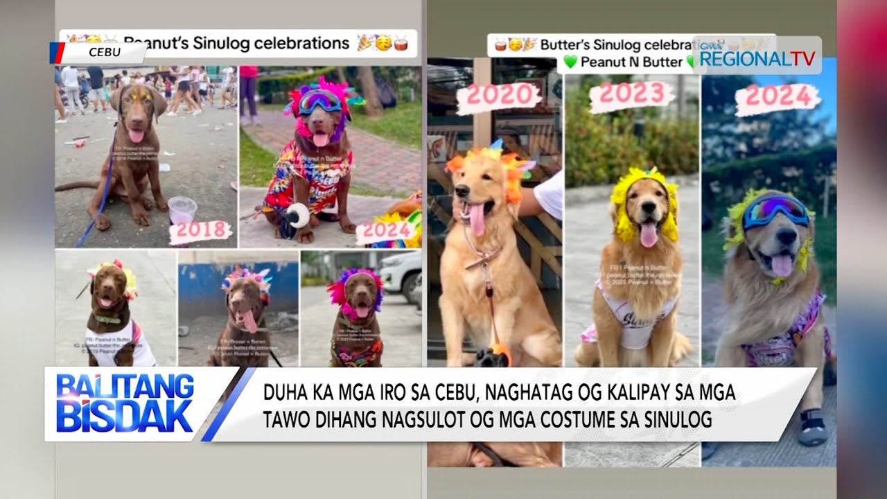 Duha ka mga Iro sa Cebu, Naghatag og Kalipay sa mga Tawo | Balitang Bisdak