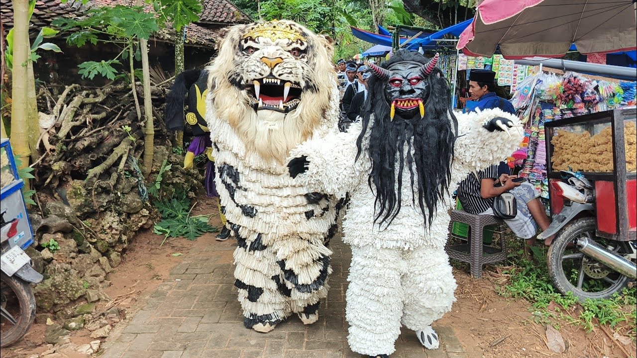 Atraksi singo leter  di batu putih 