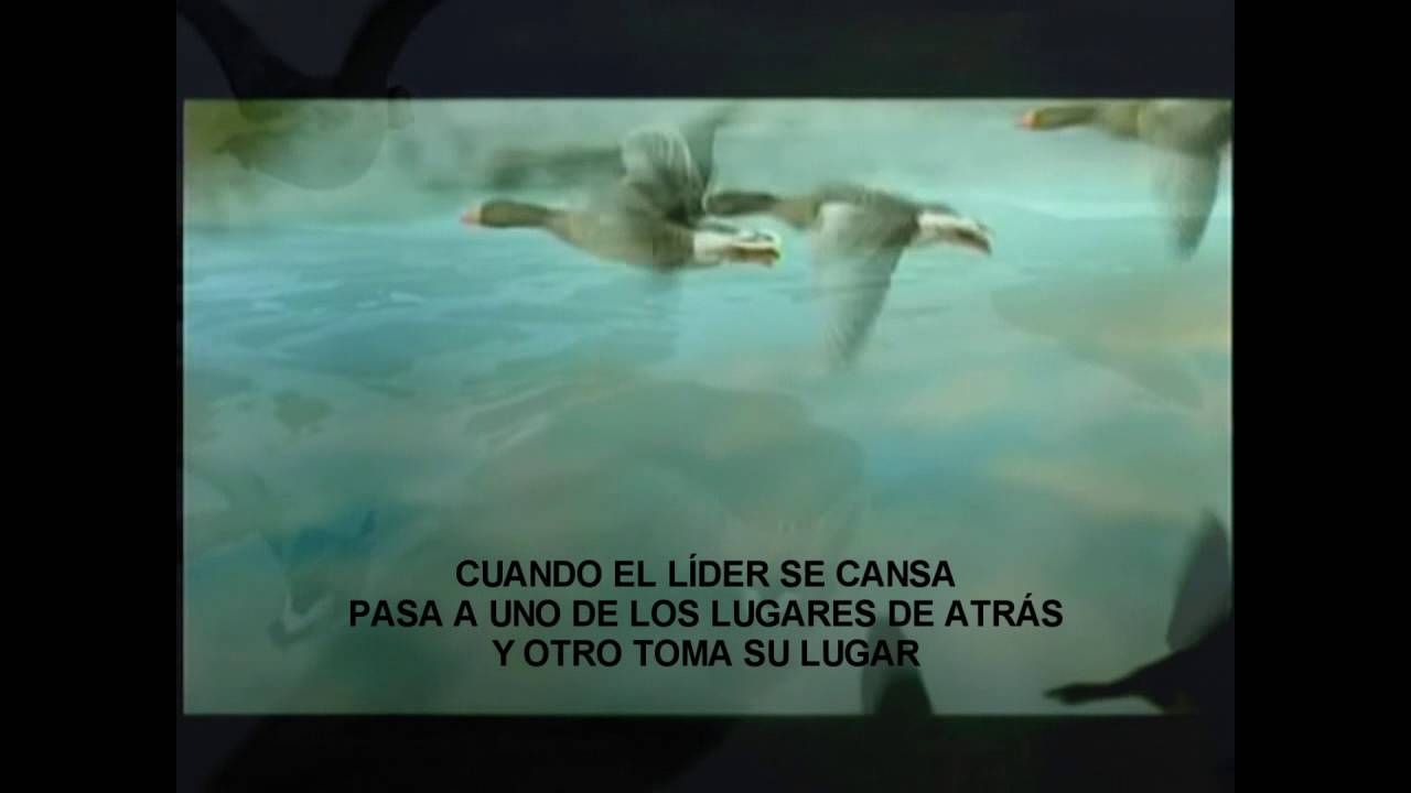 EL VUELO DE LOS GANSOS