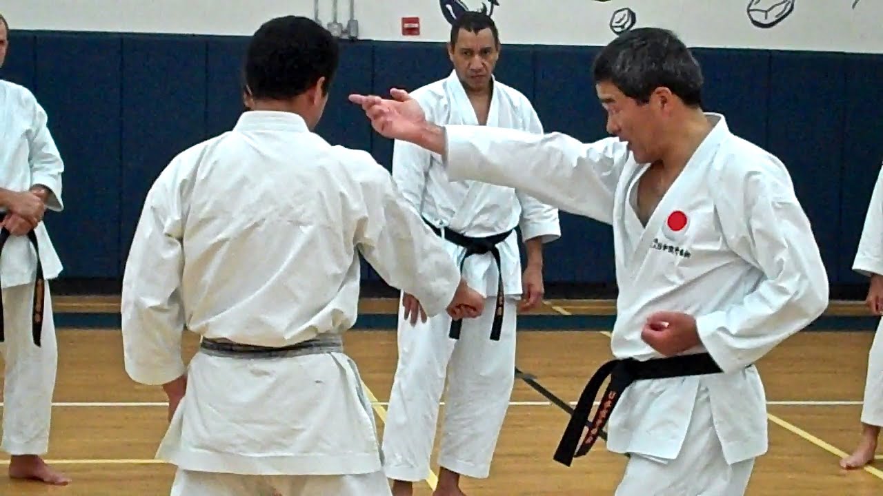 Master Imamura 7th Dan