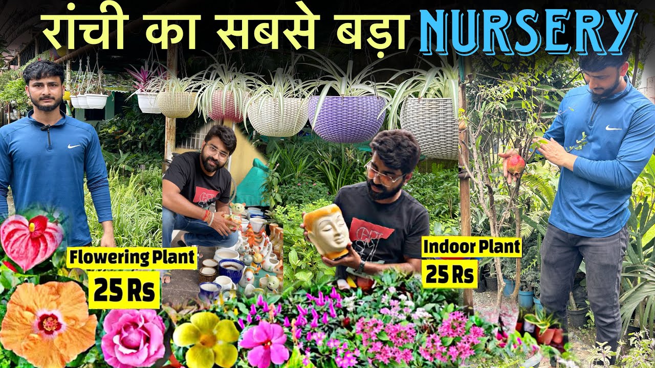 Rajdhani Nursery |Ranchi का सबसे बड़ा Nursery🪴@SANURAJDHANINURSERY 