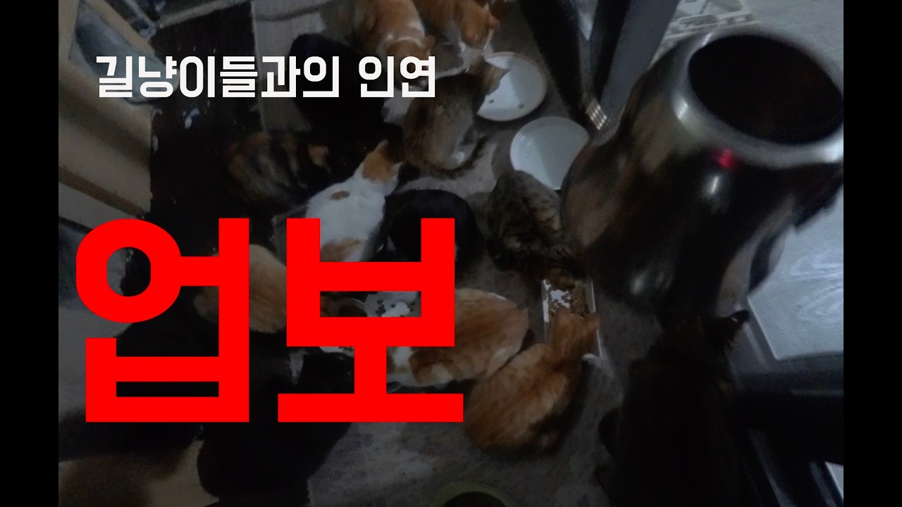 업보 (The Karmic Responsibility)