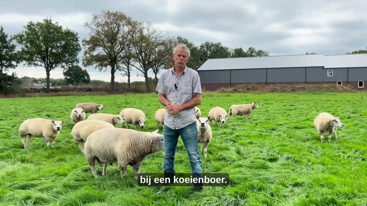 Rini van den Broek