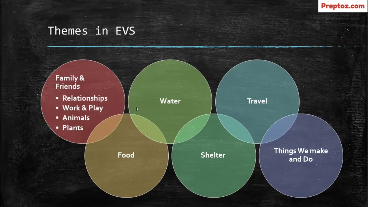 EVS - First Theme- Family and Friends.