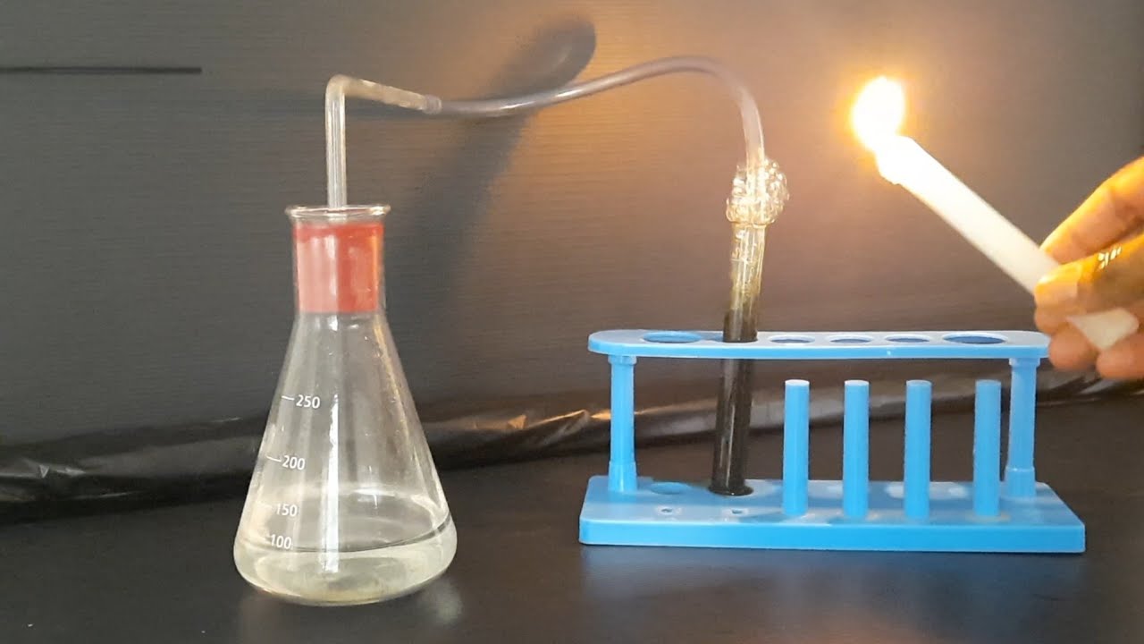 10th Science, Activity 2.3