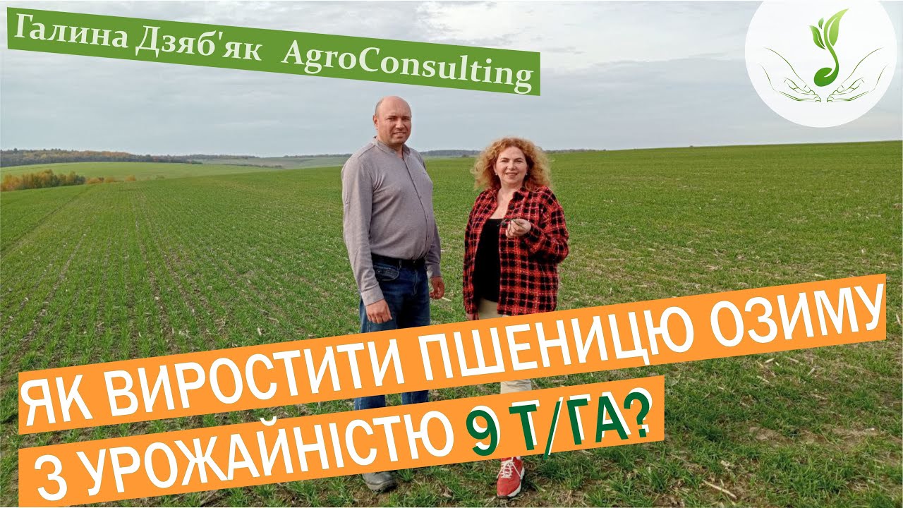 Інтенсивна технологія вирощування. Весняний сезон. Експертні поради дає агроном Ярослав Бай