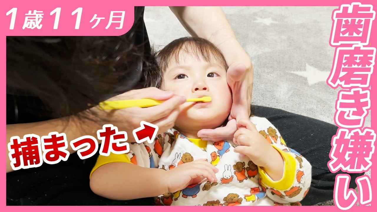 #1歳11ヶ月　歯磨き嫌いの1歳娘