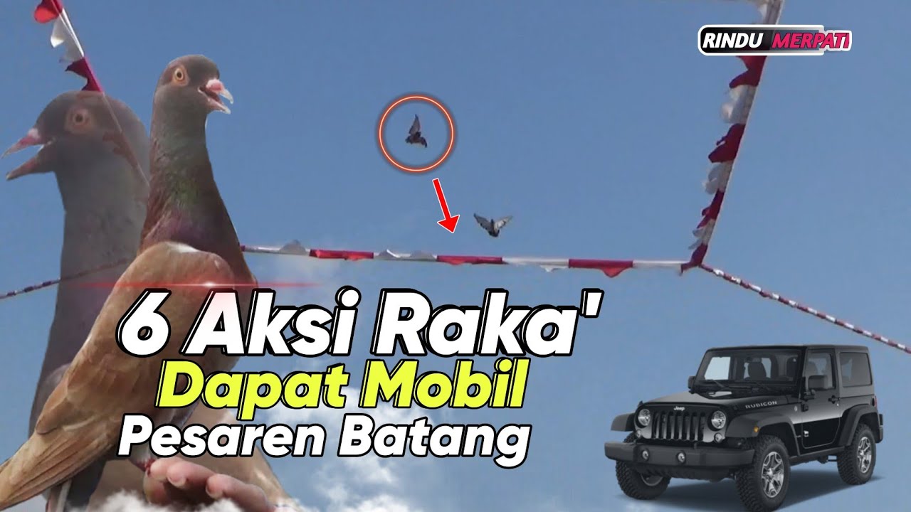 Edisi Spesial !! 6 Shoot RAKA Tim Batavia Juara 🏆 Pertama Mobilan Kolong Pesaren Batang