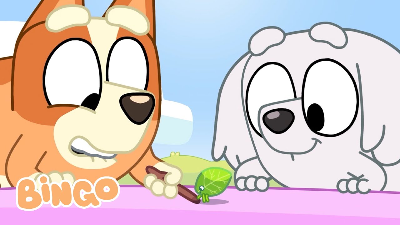 Exploring the Outside with Bingo and Friends 🌿 🧡 | 30 MINUTES | Bingo - Official Channel