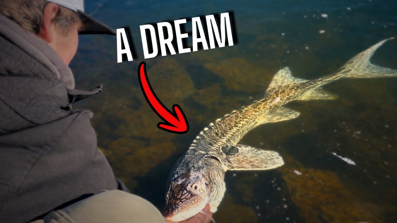 He Caught His Bucket List Species!!! (WHITE STURGEON)