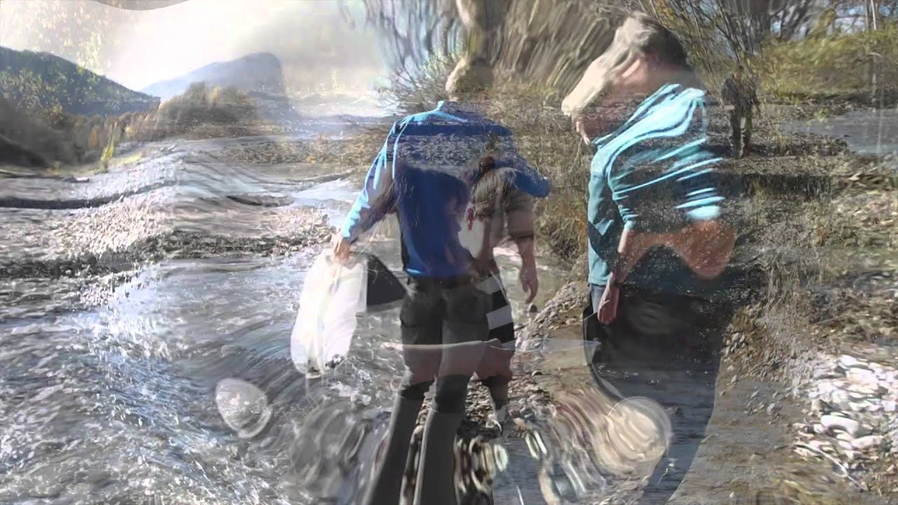 IBGN (qualité biologique des eaux)