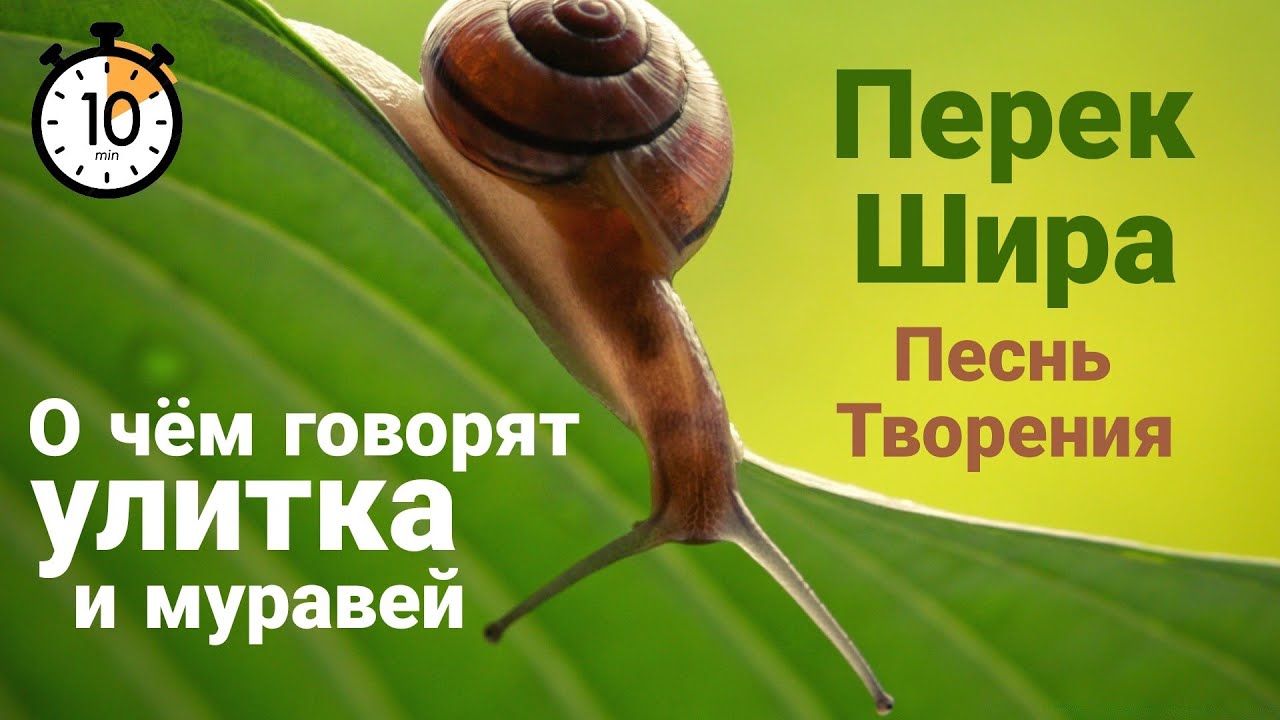 О чём говорят улитка и муравей. Перек Шира. Песнь Творения.