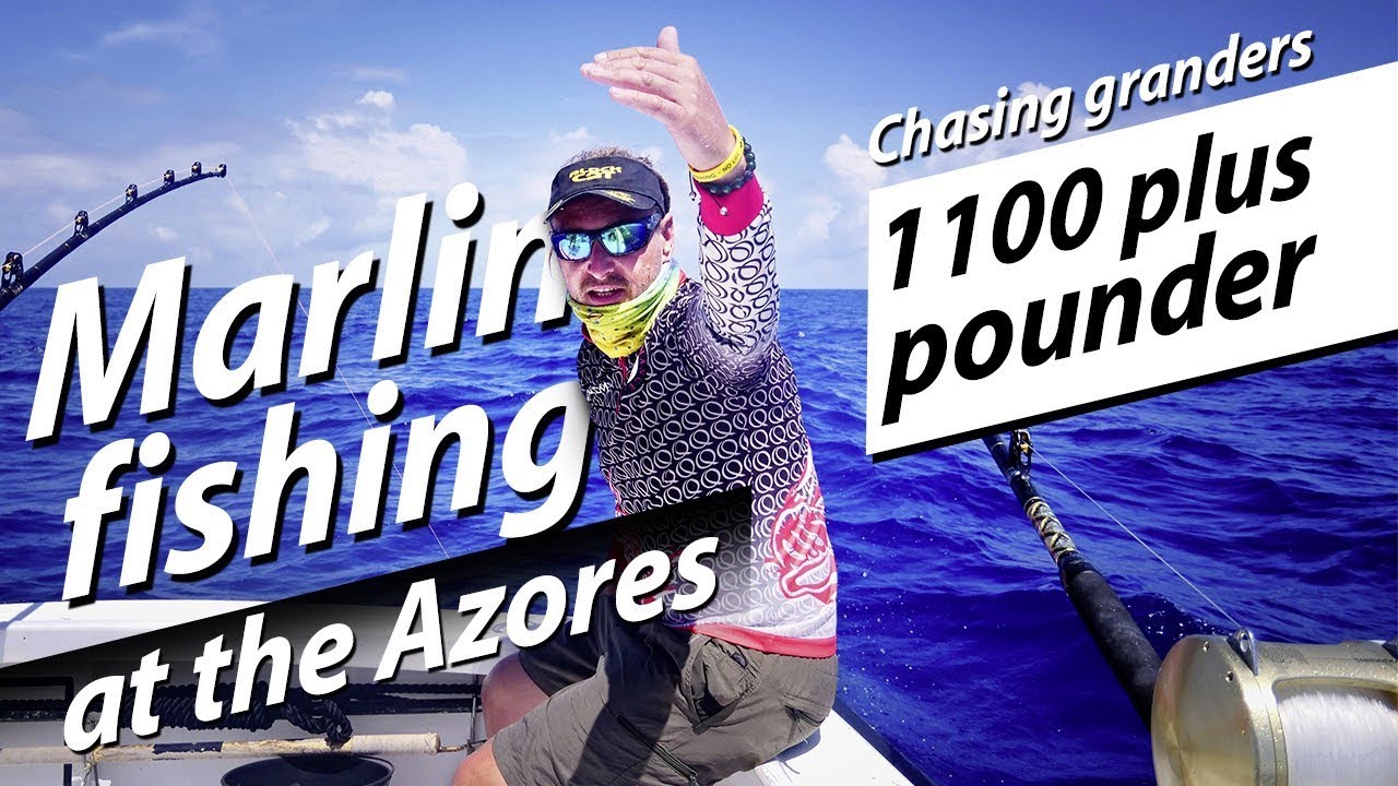 Big game fishing - Blue Marlin GRANDER jumping - Hochseeangeln Atlantik
