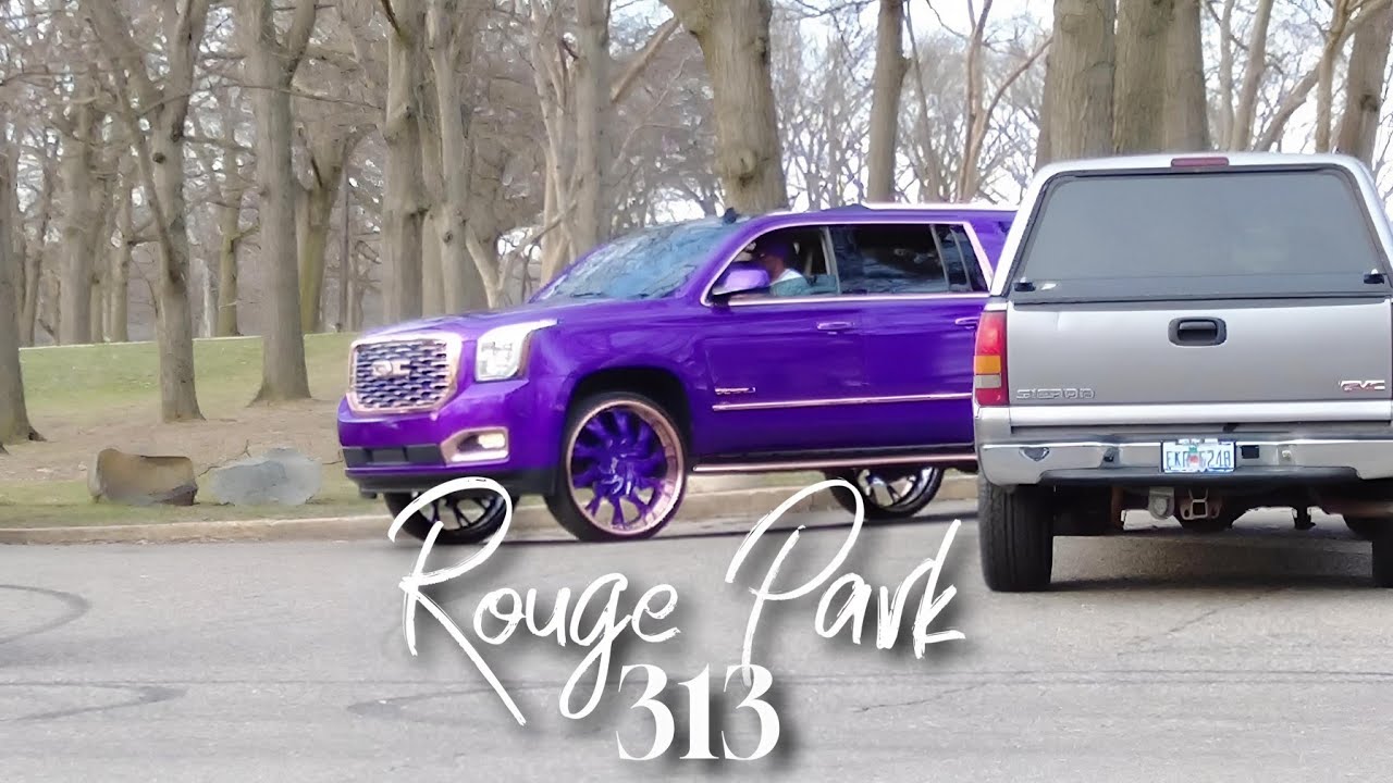 Park type of day in Detroit 