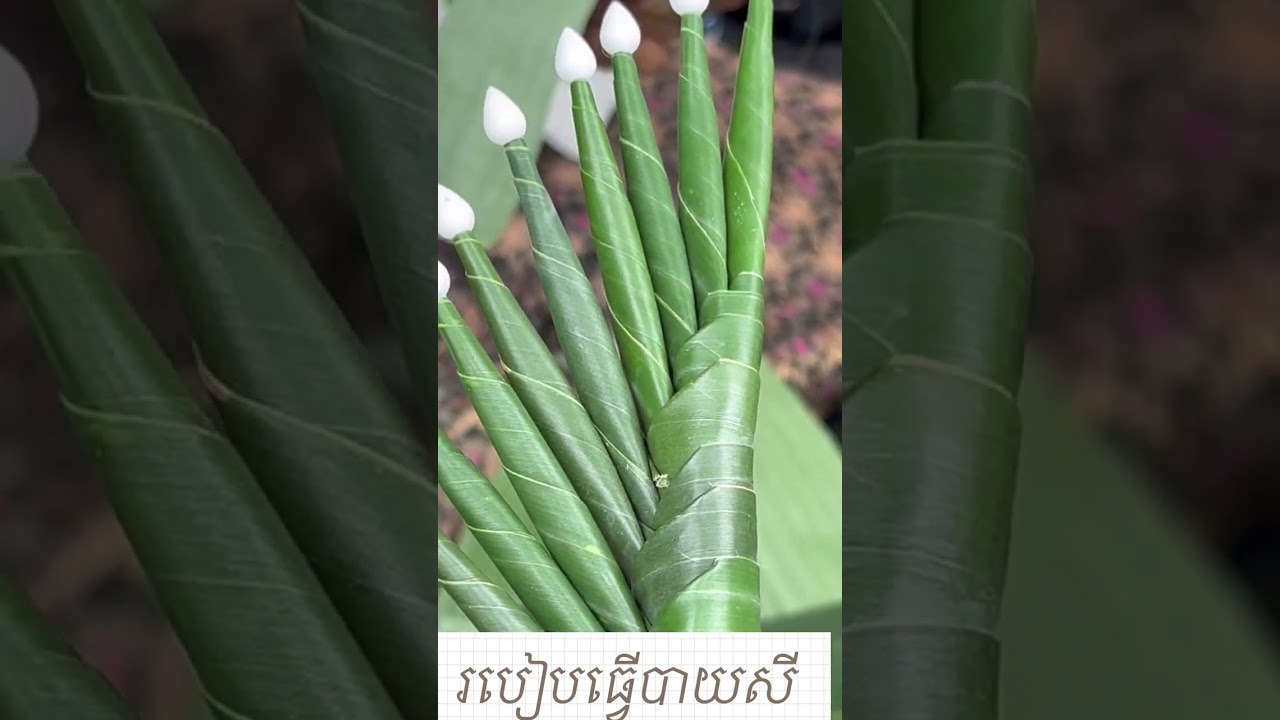 របៀបធ្វេីបាយសី​  my villagers make Baisey