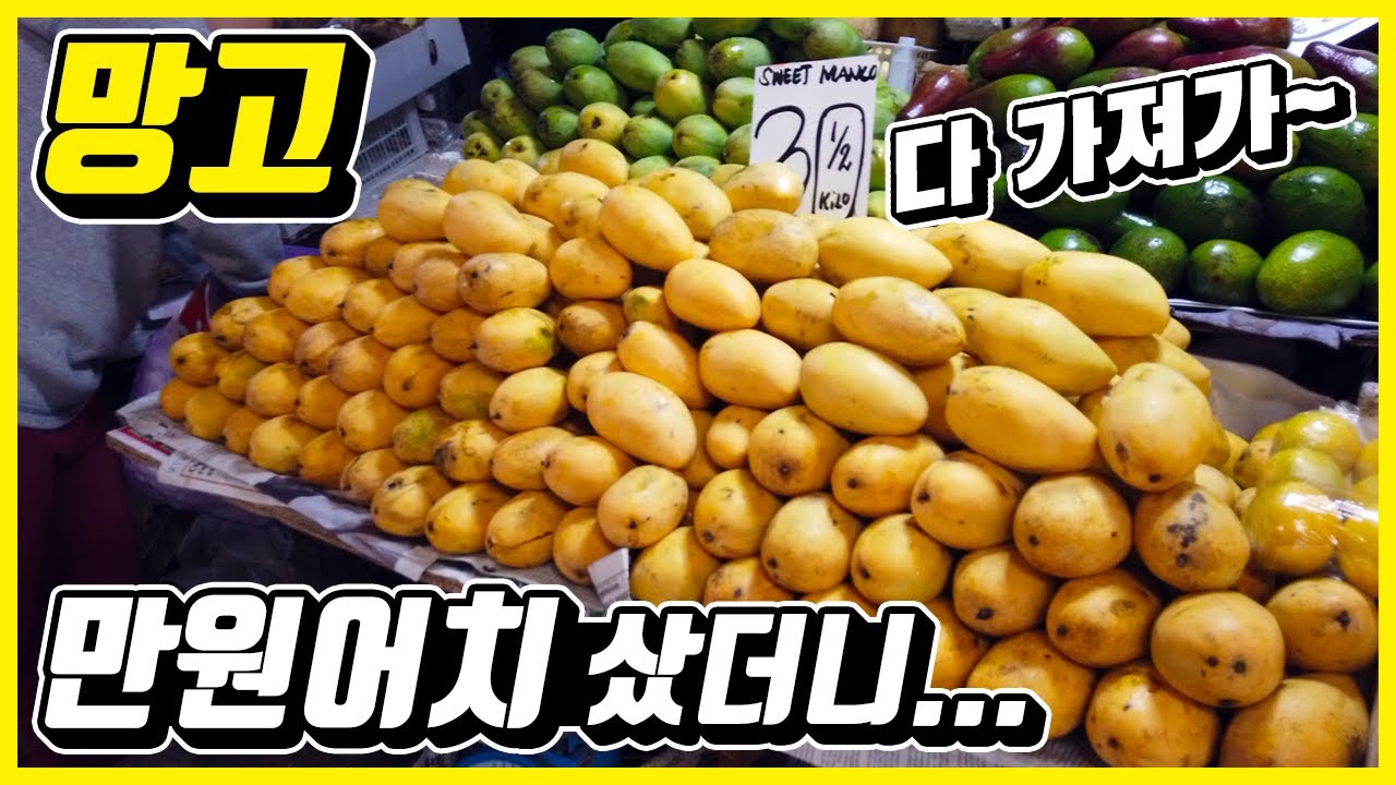 망고 대란? 망고의 나라 필리핀에서 망고 만원어치를 구입했더니 생긴 일... ㄷㄷㄷ 실화냐?!