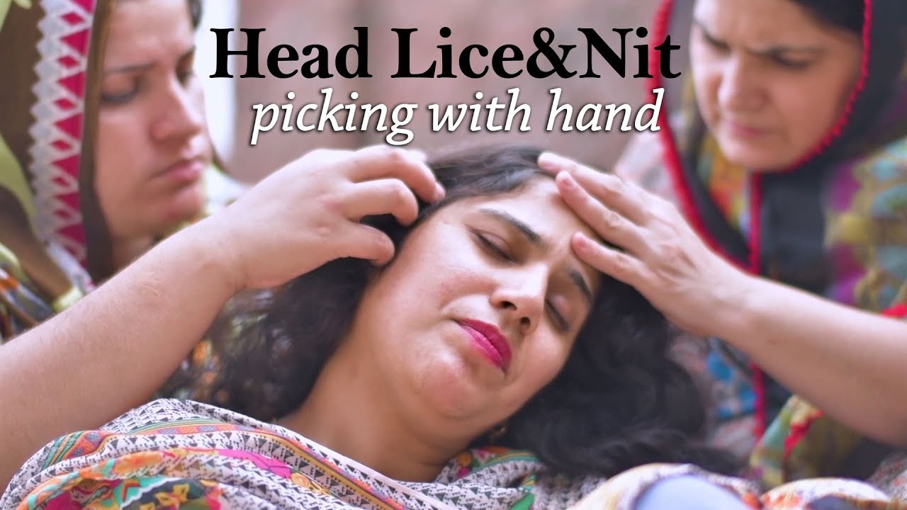 Multple Girls Head Lice Nit Picking with Hands | Free Stock Footage for Youtube Videos