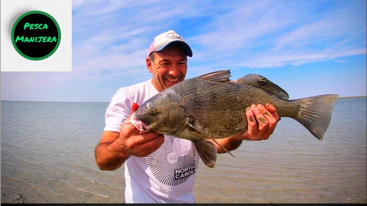 CORVINA NEGRA en la ria, Gral Daniel Cerri!!!