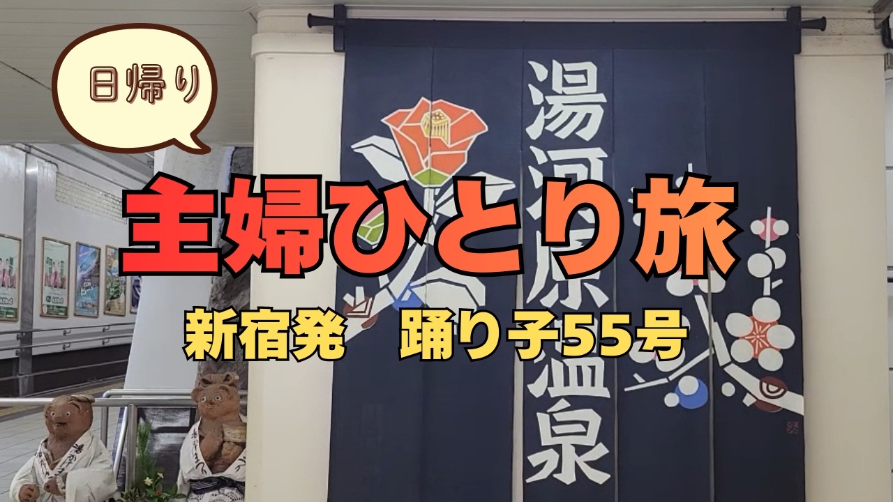 【電車旅】踊り子５５号に乗って、湯河原温泉で日帰り入浴と観光してきた　#主婦ひとり旅 #湯河原温泉#日帰り温泉 
