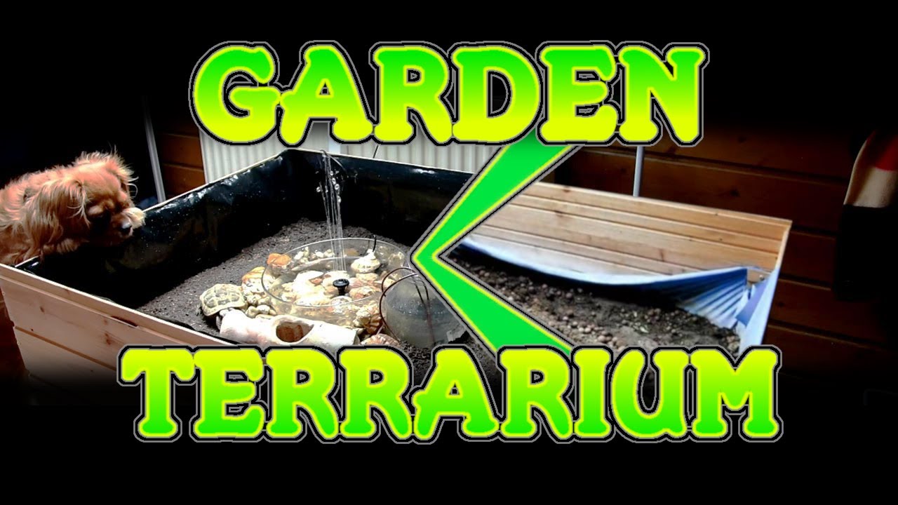 How to Make Tortoise Terrarium or Interior Garden at Home | D Workshop
