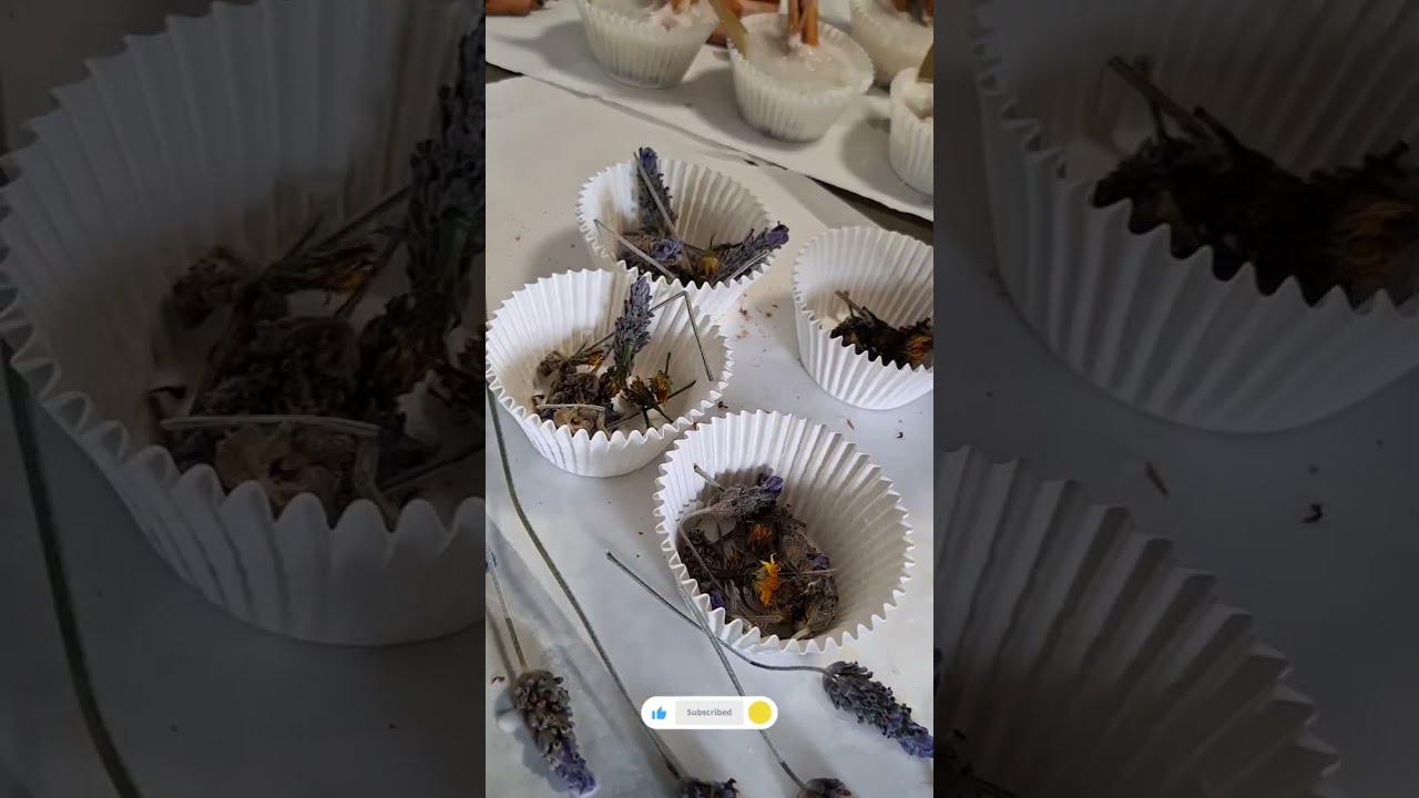 Изготовьте ароматные средства для розжига костра в походных условиях и для отпугивания насекомых.