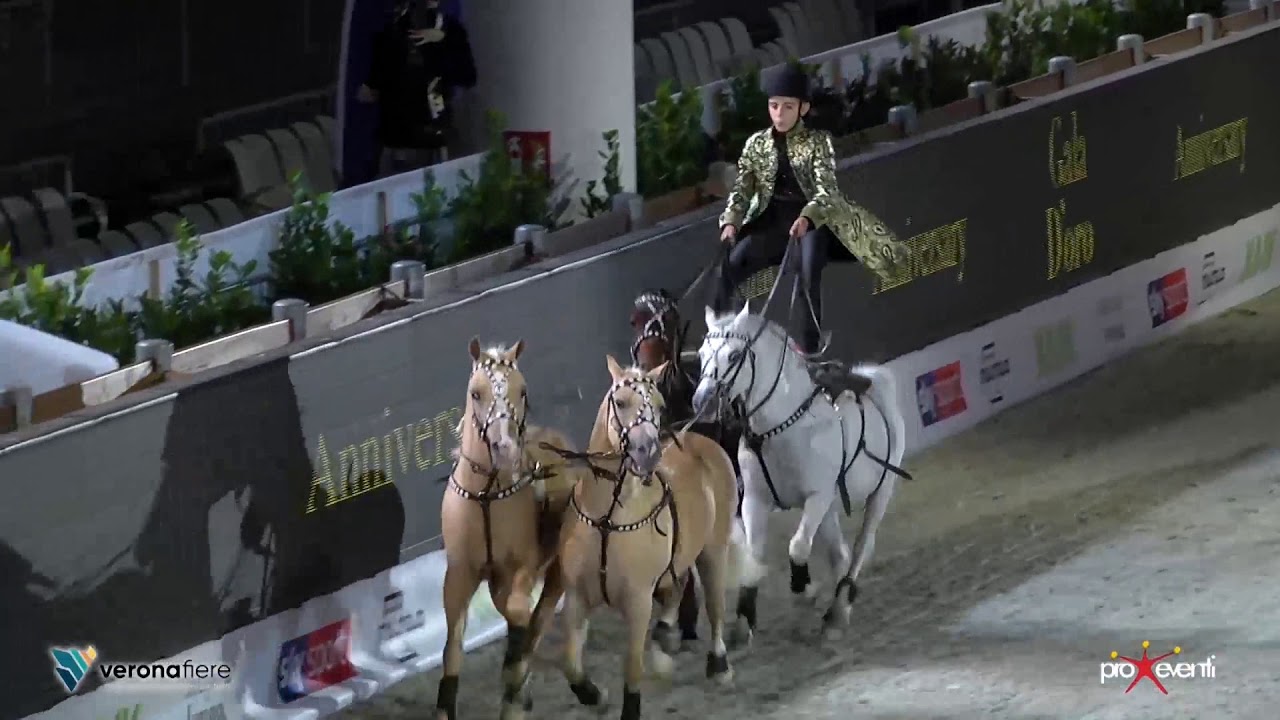 Gala D'oro fiera cavalli Verona 2018,RORÒ Castellana