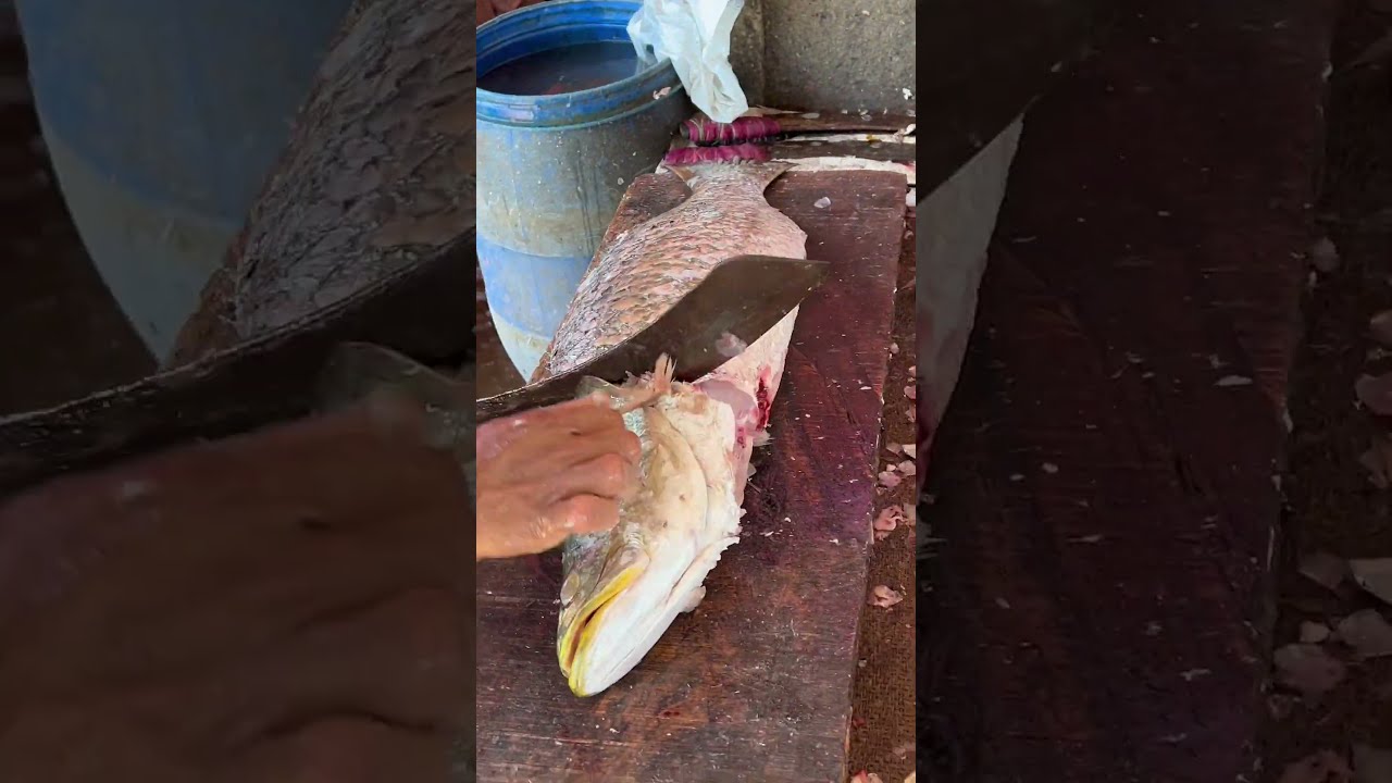 Chonak fish buying in Siolim market #fishmarket #siolim #Goa #shorts