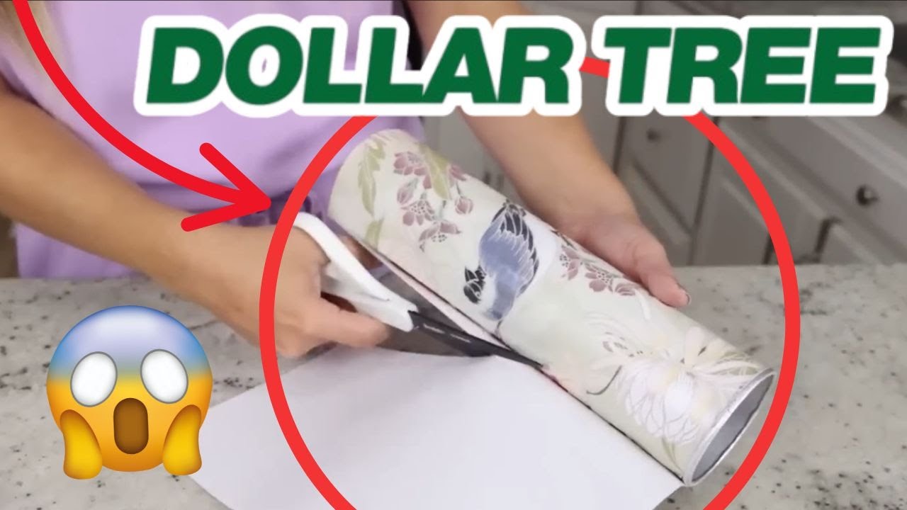 Dollar Tree Hacks Tested: Genius or Total Fail?