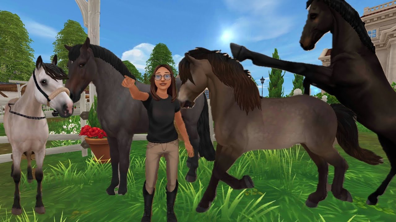 1 dag in mijn paarden leeven 🐴