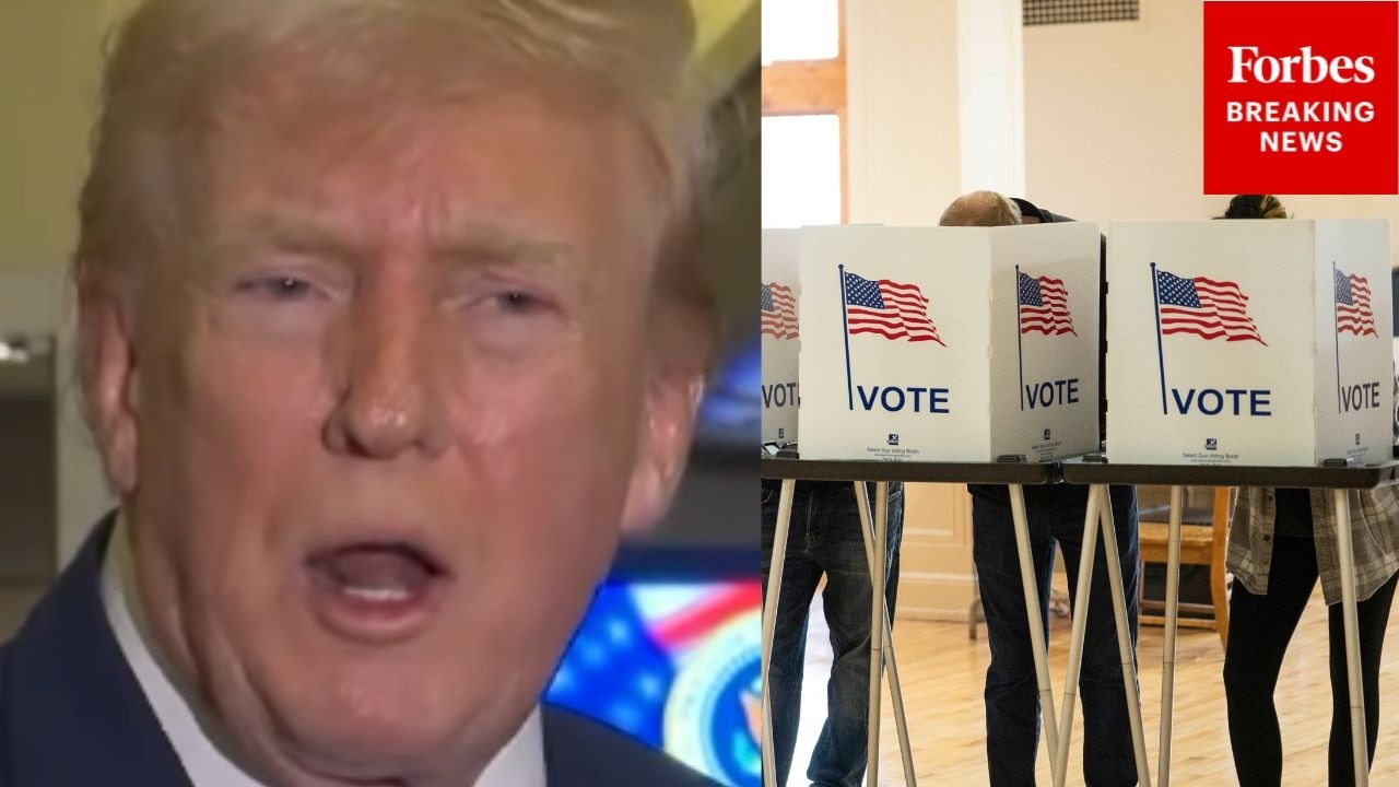 Trump Claims Dems 'Don't Want Voter ID Because They Want To Cheat In Elections'