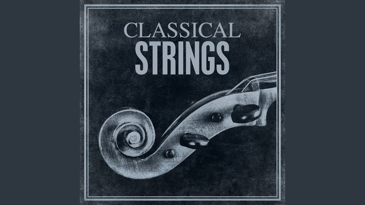 Violin Concerto No. 1 in D Major, Op. 6: I. Allegro maestoso