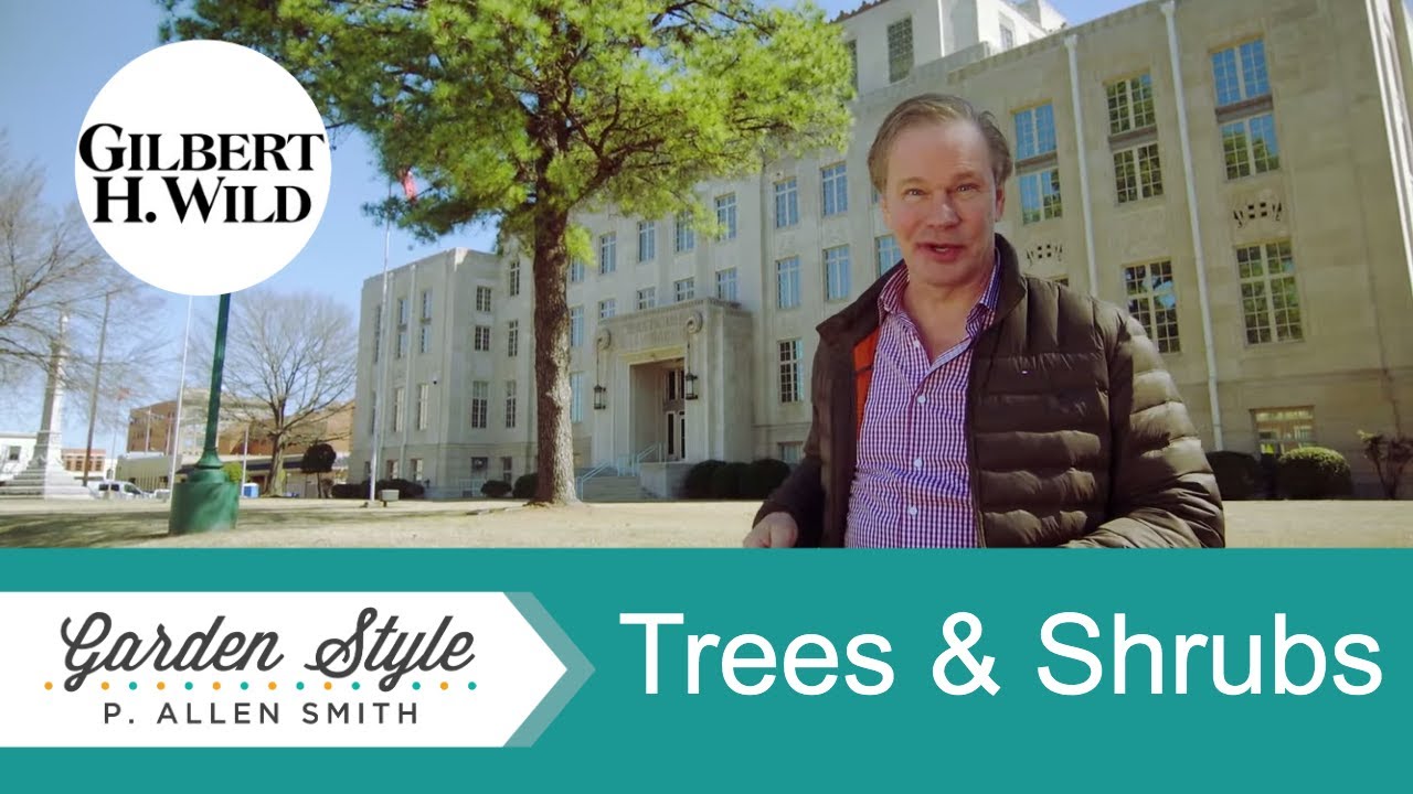Tips for Planting Trees & Shrubs | Garden Style (1815)