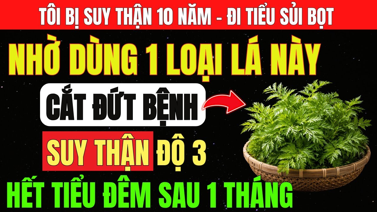 Người SUY THẬN: DÙNG 5 LOẠI LÁ Này GIÚP LỌC SẠCH CREATININE, CẮT ĐỨT SUY THẬN, Hết Tiểu Đêm, Ngủ Sâu