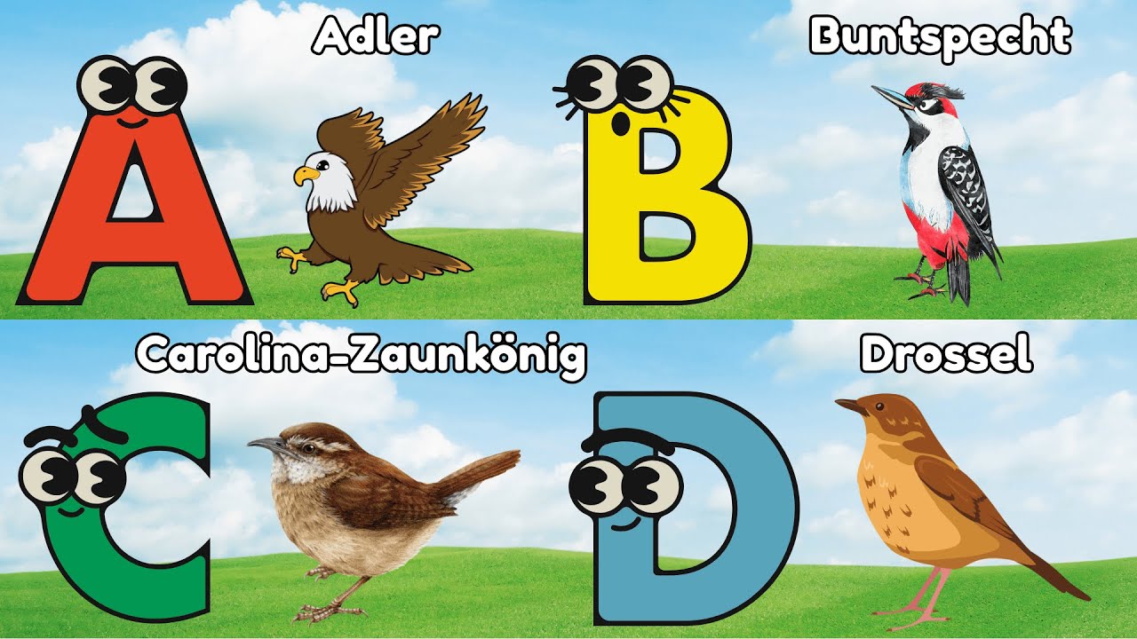 Das ABC Lied | Learn das Alphabet mit Vogelstimmen | Kinderlied auf Deutsch | Kleine Liederwelt