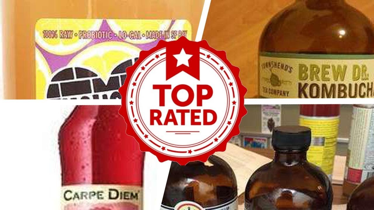 The Best Kombucha Brands 🐊