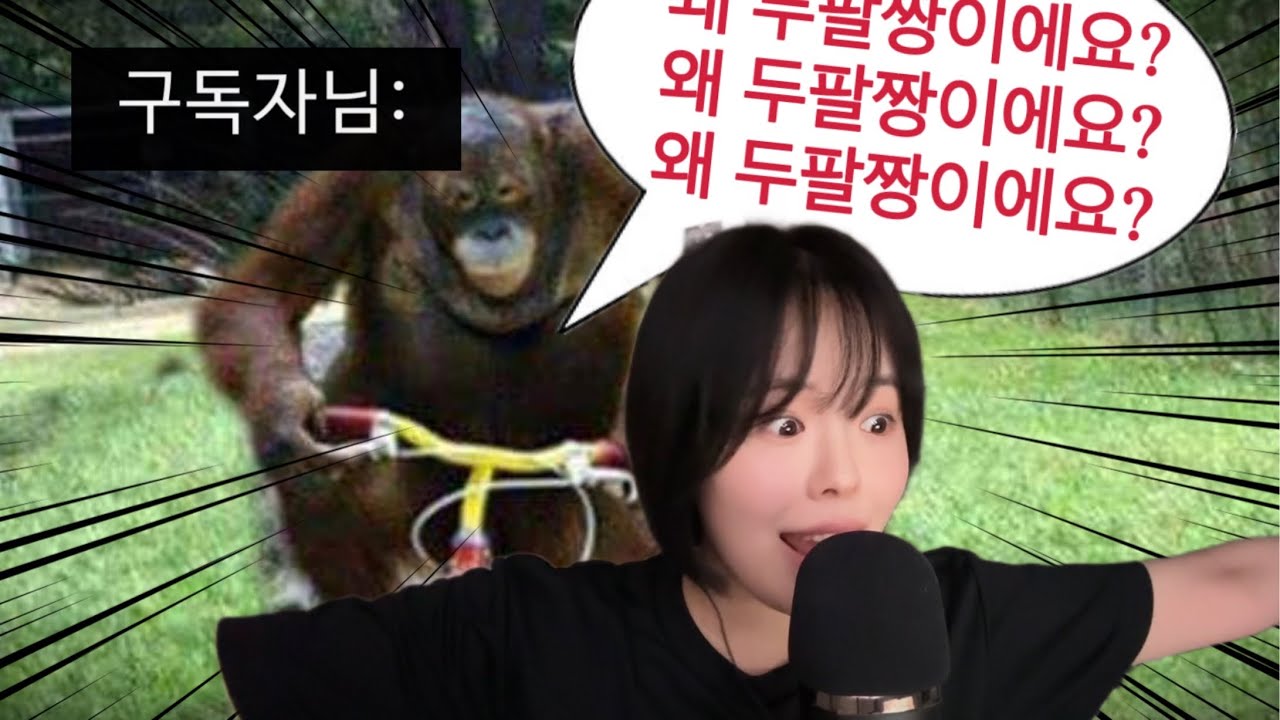 🙋🏻&zwj;♀️: &ldquo;왜 이름이 두팔짱이에요?&ldquo; 유튜브 ⭐️QnA⭐️ #나의노력이성취로거듭나는곳 #제작비지원