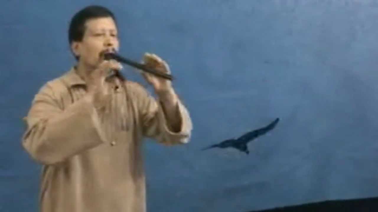 Fausto Pato Aguilar - El condor pasa | Musica Ecuatoriana