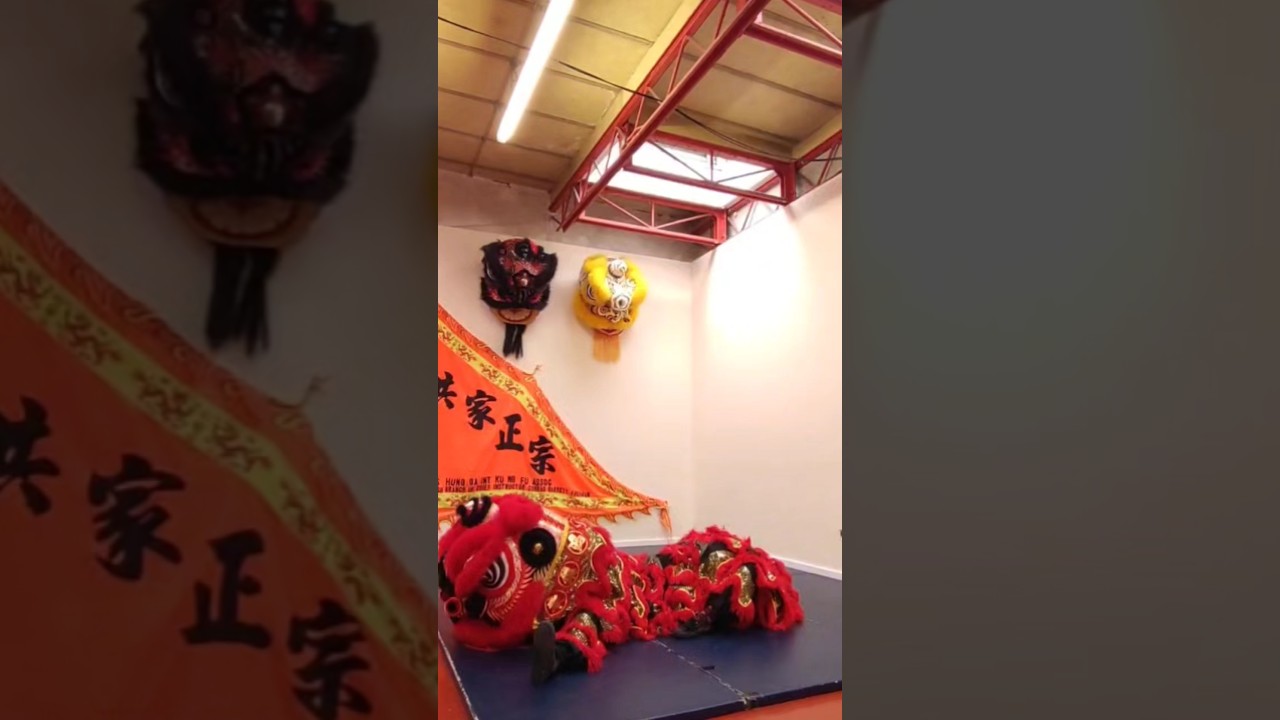 I know I should sleep... #liondance2025 #liondance #birdbirdegg #brainrot #tricks #voicesinmyhead